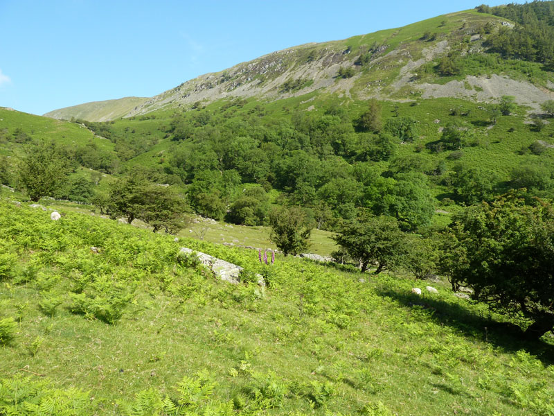 Glencoyne